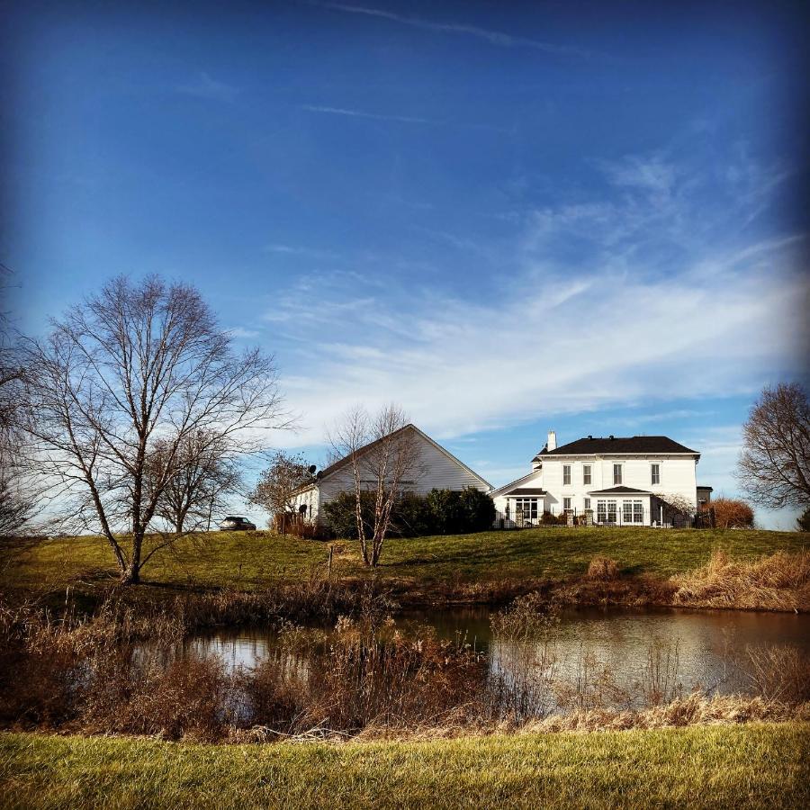 Wildflower Ranch Inn 스프링필드 외부 사진